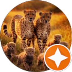 Profile photo of M C