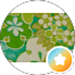 Profile photo of Dina S