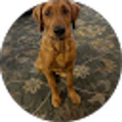 Profile photo of Jamie Worsham