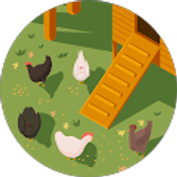 Profile photo of Jesse A