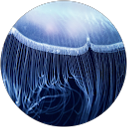 Profile photo of Paul Smith