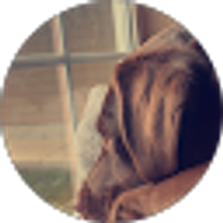 Profile photo of kristina gallegos