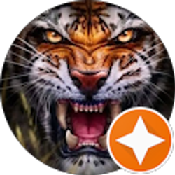 Profile photo of Serena Suglia