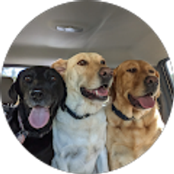 Profile photo of Jody McCoy