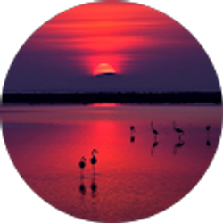 Profile photo of Autumn McCrea