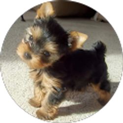 Profile photo of Johnnagraham Graham