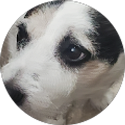 Profile photo of Theresa Family