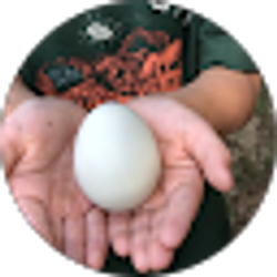 Profile photo of Caryl Freeman
