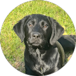 Profile photo of Maddy “MP”