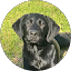 Profile photo of Maddy “MP”