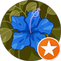 Profile photo of T'Nae R