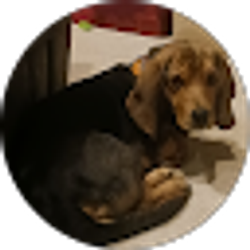 Profile photo of Champion