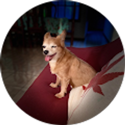 Profile photo of Julieth Marie Aranibar-martinez