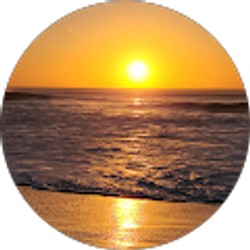 Profile photo of Tammy Sowders