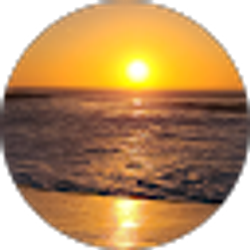 Profile photo of Tammy Sowders
