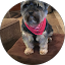 Profile photo of Cathy Pope