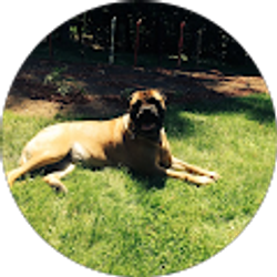 Profile photo of Eric Noonan