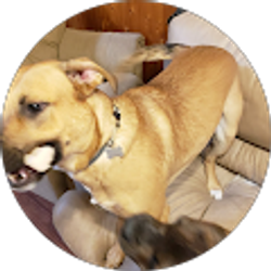 Profile photo of Cypress H.