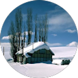 Profile photo of satya dev reddy