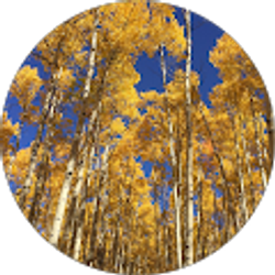 Profile photo of Gina Rossi