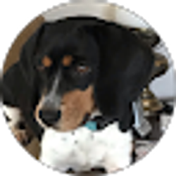 Profile photo of Judy Welch