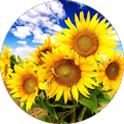 Profile photo of It's Meee