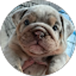 Profile photo of Zach Karr