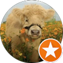 Profile photo of Abigail Richards