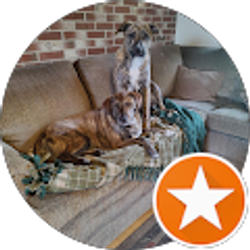 Profile photo of nicetoseeusmile