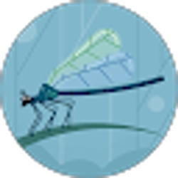 Profile photo of Jaycee Tanner