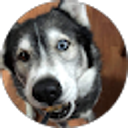 Profile photo of Samantha Corsten