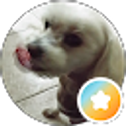 Profile photo of Cindy Araya