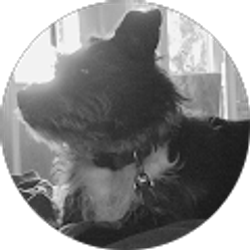 Profile photo of Ola Mugnier