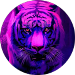 Profile photo of pablo 505