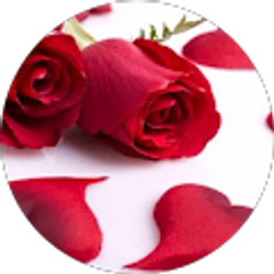 Profile photo of stolliverable