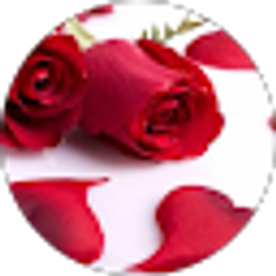 Profile photo of stolliverable