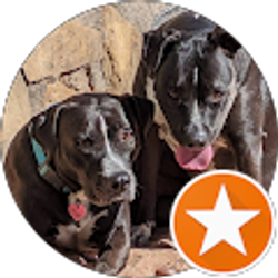 Profile photo of Beth Kuzma