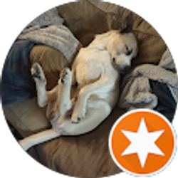 Profile photo of Chris Junemann