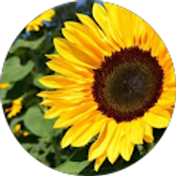 Profile photo of Angie Reynoso