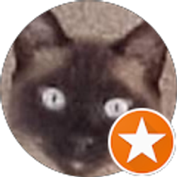 Profile photo of Cathy Landon