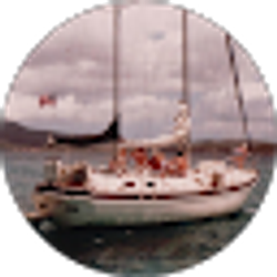 Profile photo of Michelle Martin