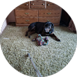 Profile photo of dennis osborne