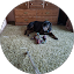 Profile photo of dennis osborne