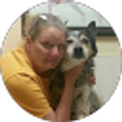 Profile photo of Joni Phares