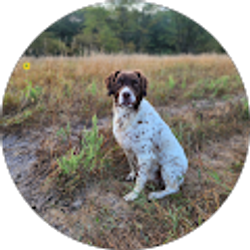 Profile photo of Jarred Horsky