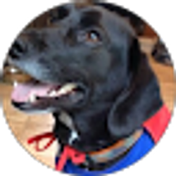 Profile photo of April M