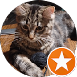 Profile photo of carol beltz