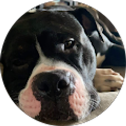 Profile photo of Emily McLeod