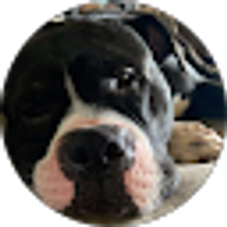 Profile photo of Emily McLeod
