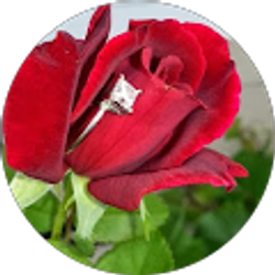 Profile photo of Rayla M